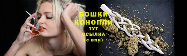 спайс Надым