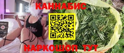 гашик Кандалакша