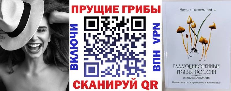 Псилоцибиновые грибы Psilocybe  купить наркотик  Клинцы 