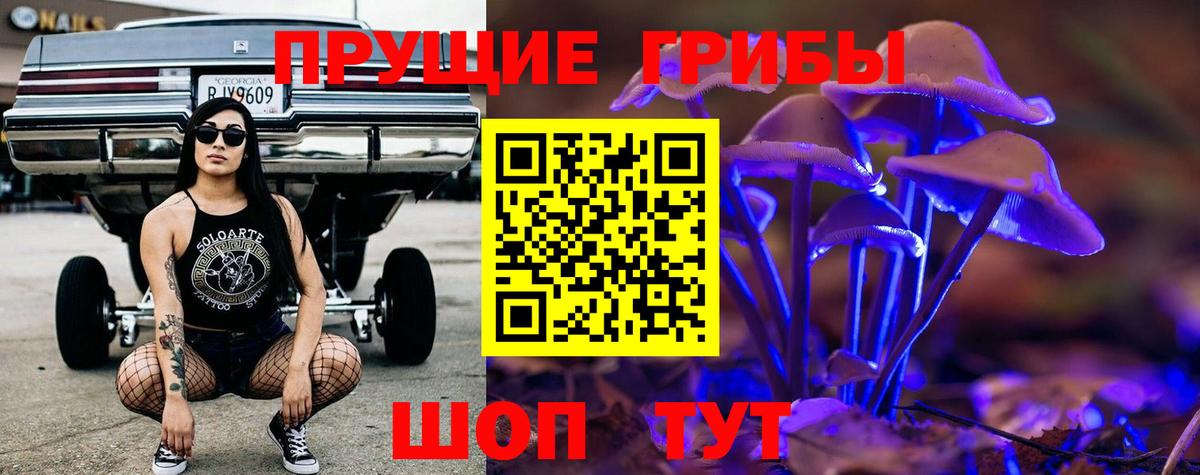 Галлюциногенные грибы Psilocybine cubensis Клинцы