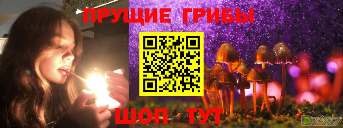 Клинцы  Галлюциногенные грибы GOLDEN TEACHER  Вход с VPN 